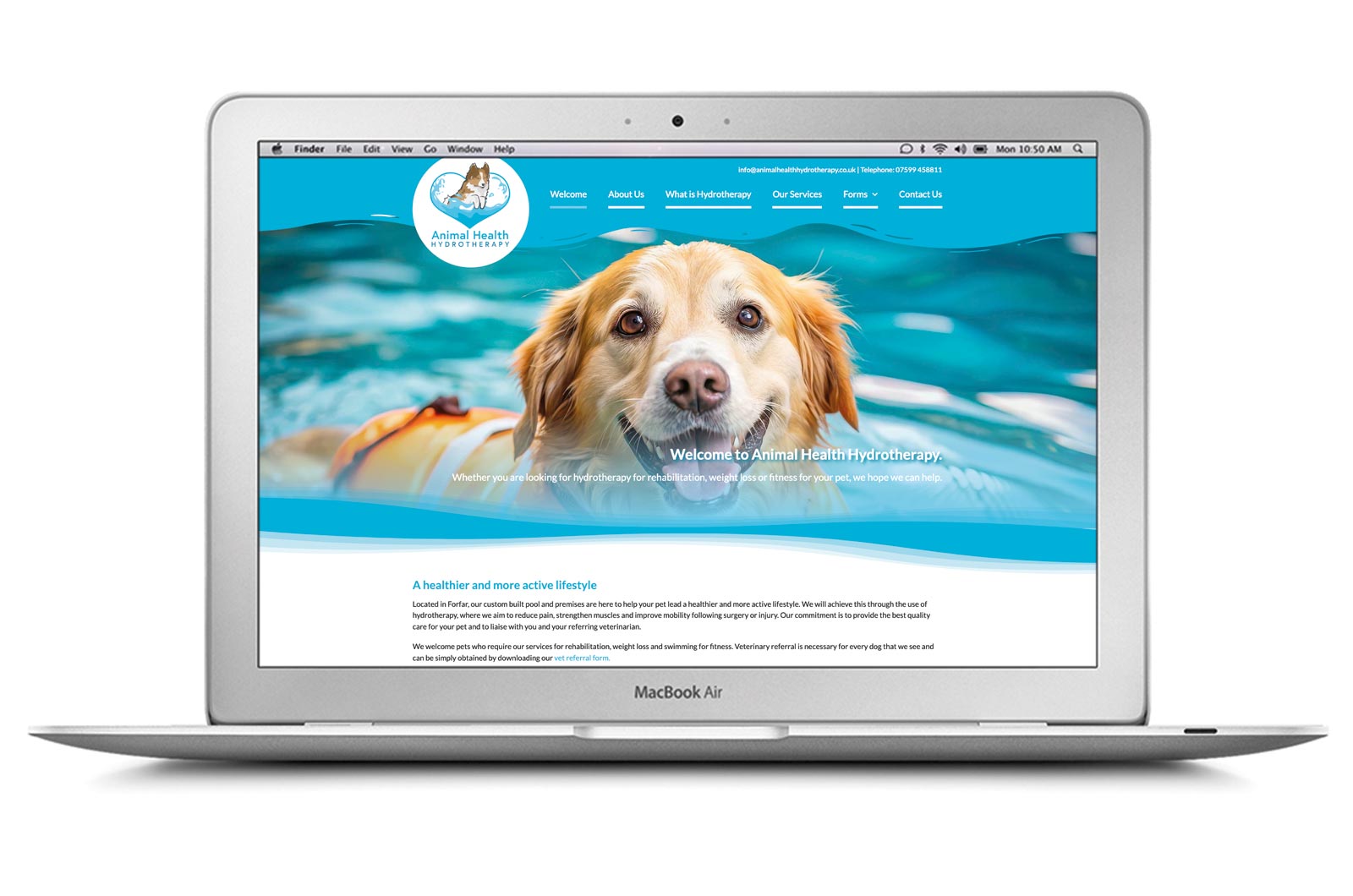Animal Health Hydrotherapy Website